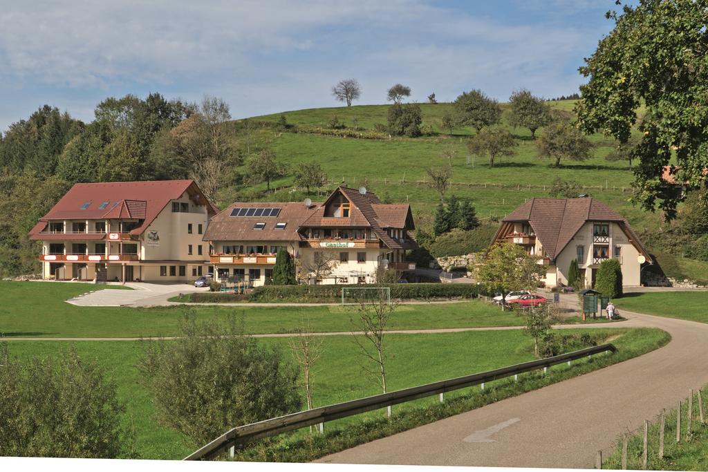 Biederbach Baden-Württemberg Landgasthof Adler Pelzmuehle מראה חיצוני תמונה