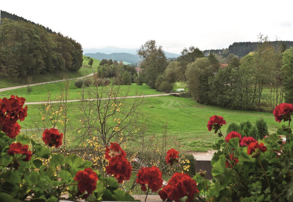 Biederbach Baden-Württemberg Landgasthof Adler Pelzmuehle חדר תמונה